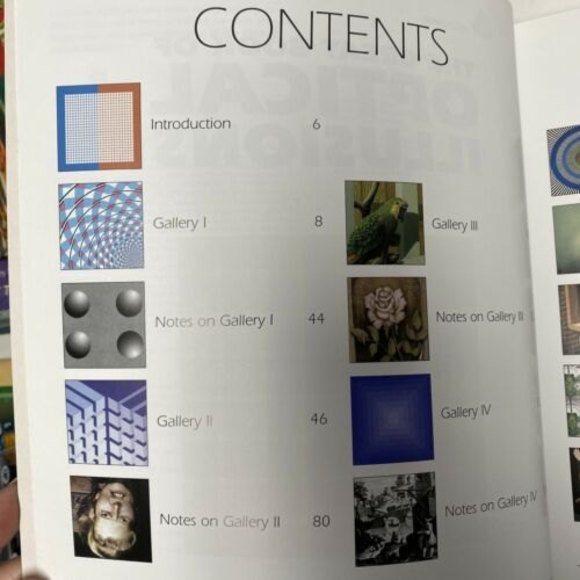 The Great Book‎ of Optical Illusions by Al Seckel 2002 Paperback Brain Teasers - Picture 5 of 11